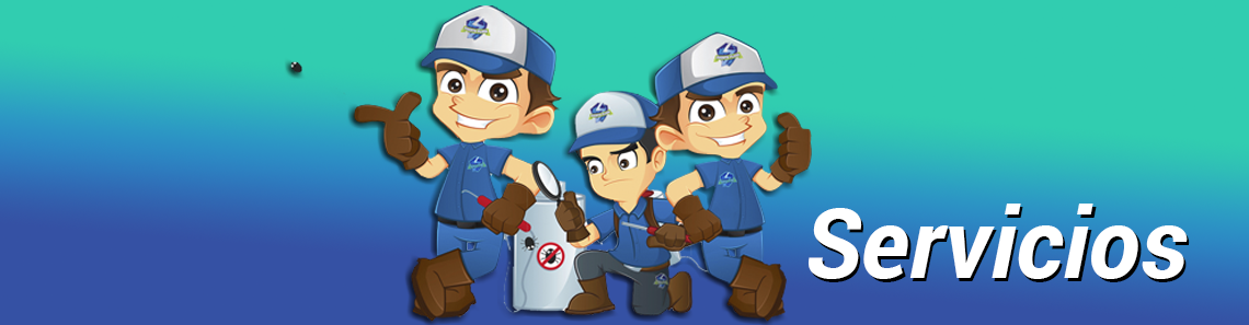 servicios/