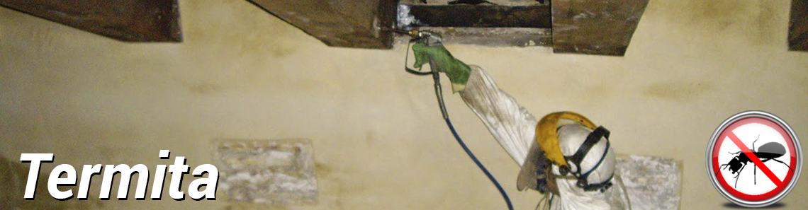 termita/